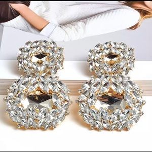 Luxury Rhinestone Earrings for Women!